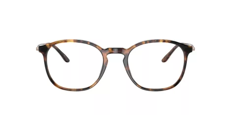 Giorgio Armani AR 7213 5825