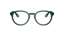 Giorgio Armani AR 7248 6044
