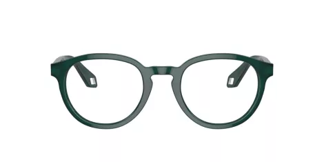 Giorgio Armani AR 7248 6044