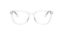 Giorgio Armani AR 7250 5893