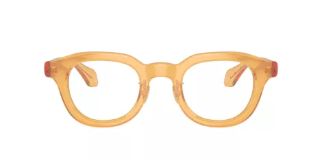 Giorgio Armani AR 7253 6063