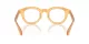 Giorgio Armani AR 7253 6063