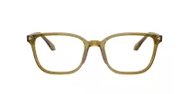 Giorgio Armani AR 7265 6172