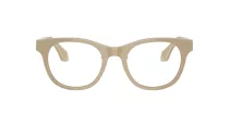 Giorgio Armani AR 7269 6161