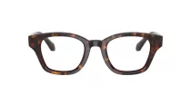 Giorgio Armani AR 7274 5879