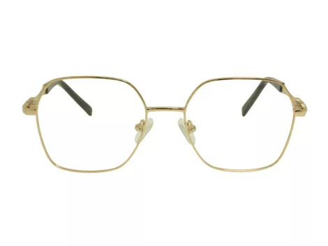 Berkeley BB Y_MO36 C1