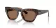 Burberry BE 4440U 300273