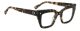Dsquared2 D2 0099 ACI