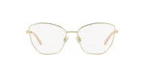 Dolce & Gabbana DG 1340 02