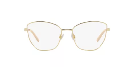 Dolce & Gabbana DG 1340 02