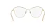 Dolce & Gabbana DG 1340 02