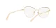 Dolce & Gabbana DG 1340 02