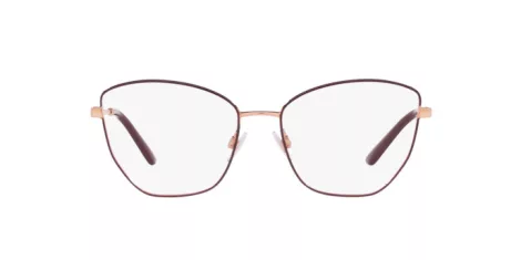 Dolce & Gabbana DG 1340 1351