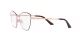 Dolce & Gabbana DG 1340 1351