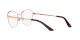 Dolce & Gabbana DG 1340 1351