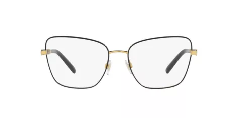 Dolce & Gabbana DG 1346 1311