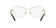 Dolce & Gabbana DG 1346 1311