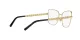 Dolce & Gabbana DG 1346 1311