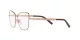 Dolce & Gabbana DG 1346 1333