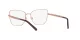 Dolce & Gabbana DG 1346 1333