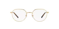 Dolce & Gabbana DG 1349 02