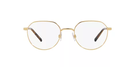 Dolce & Gabbana DG 1349 02