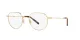 Dolce & Gabbana DG 1349 02