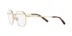Dolce & Gabbana DG 1349 02