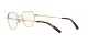 Dolce & Gabbana DG 1349 02