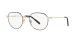 Dolce & Gabbana DG 1349 1311