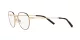 Dolce & Gabbana DG 1349 1311