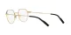 Dolce & Gabbana DG 1349 1311