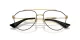 Dolce & Gabbana DG 1353 1311