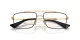 Dolce & Gabbana DG 1354 1311