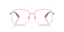 Dolce & Gabbana DG 1356 1298