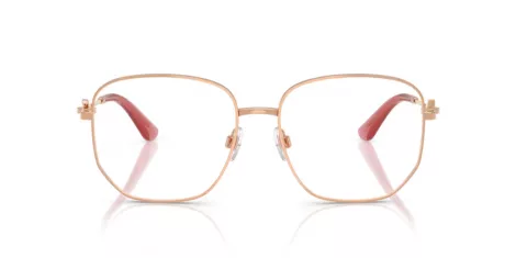 Dolce & Gabbana DG 1356 1298