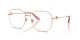 Dolce & Gabbana DG 1356 1298