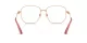 Dolce & Gabbana DG 1356 1298