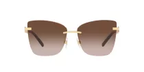 Dolce & Gabbana DG 2289 02/13