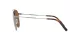 Dolce & Gabbana DG 2296 04/73