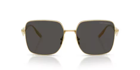 Dolce & Gabbana DG 2310 02/87