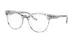 Dolce & Gabbana DG 3334 3287