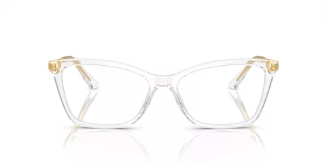 Dolce & Gabbana DG 3347 3133