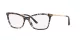 Dolce & Gabbana DG 3347 911