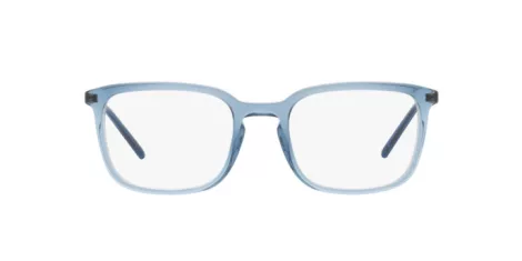 Dolce & Gabbana DG 3349 3040