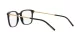 Dolce & Gabbana DG 3349 501