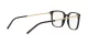 Dolce & Gabbana DG 3349 501