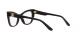 Dolce & Gabbana DG 3354 501