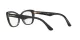Dolce & Gabbana DG 3360 3246