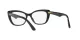 Dolce & Gabbana DG 3360 3246